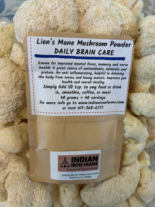 Lion's Mane Powder