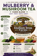 Mulberry Mushroom Tea