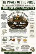 Regenerative Cleanse Mushroom Tea