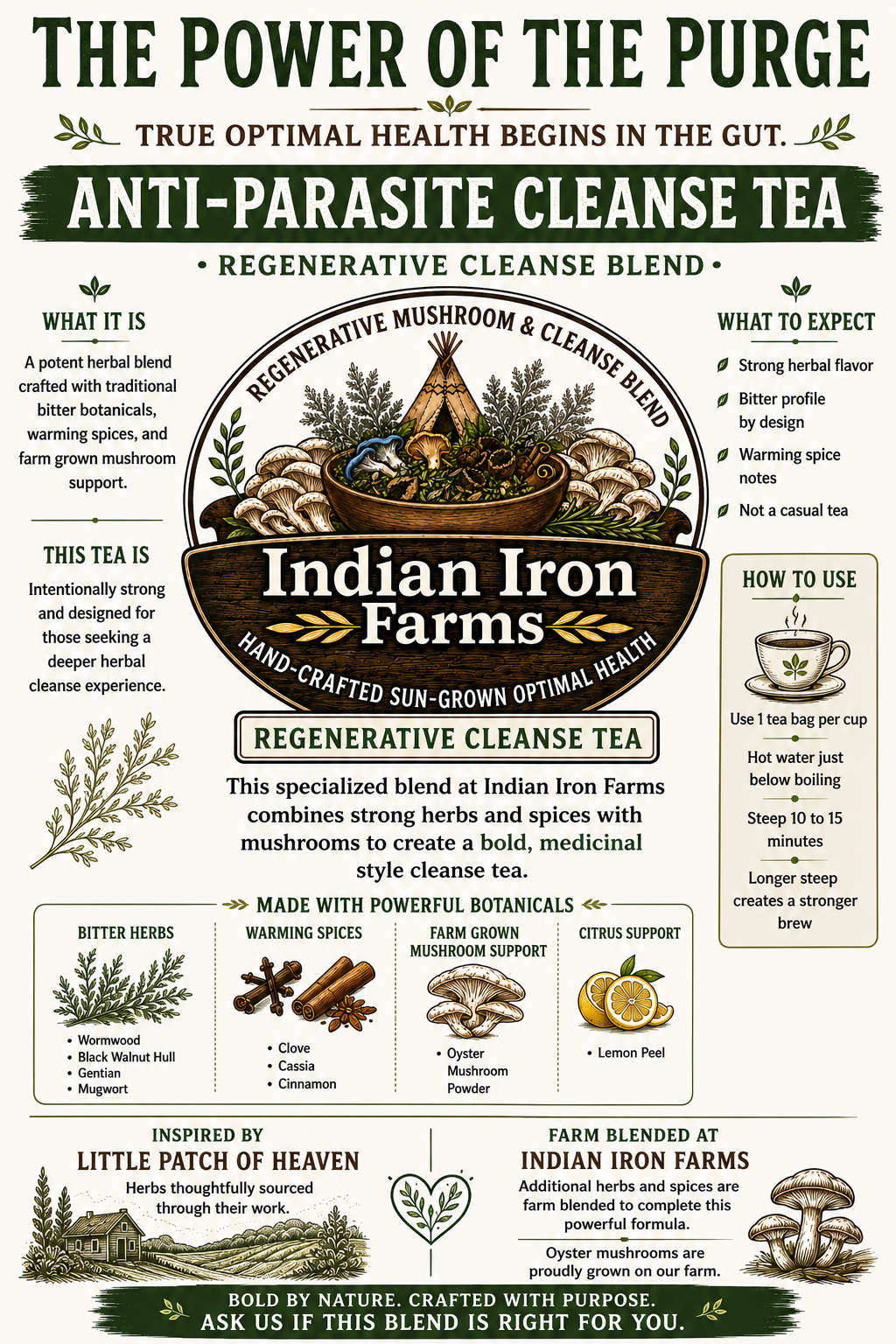 Regenerative Cleanse Mushroom Tea